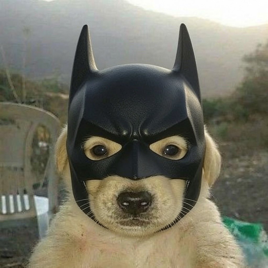 Nocturne — the masked vigilante at dusk