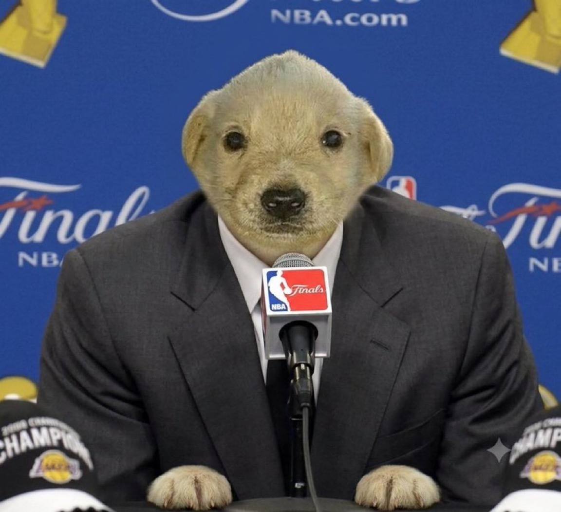 After the Victory — the champion addresses the press